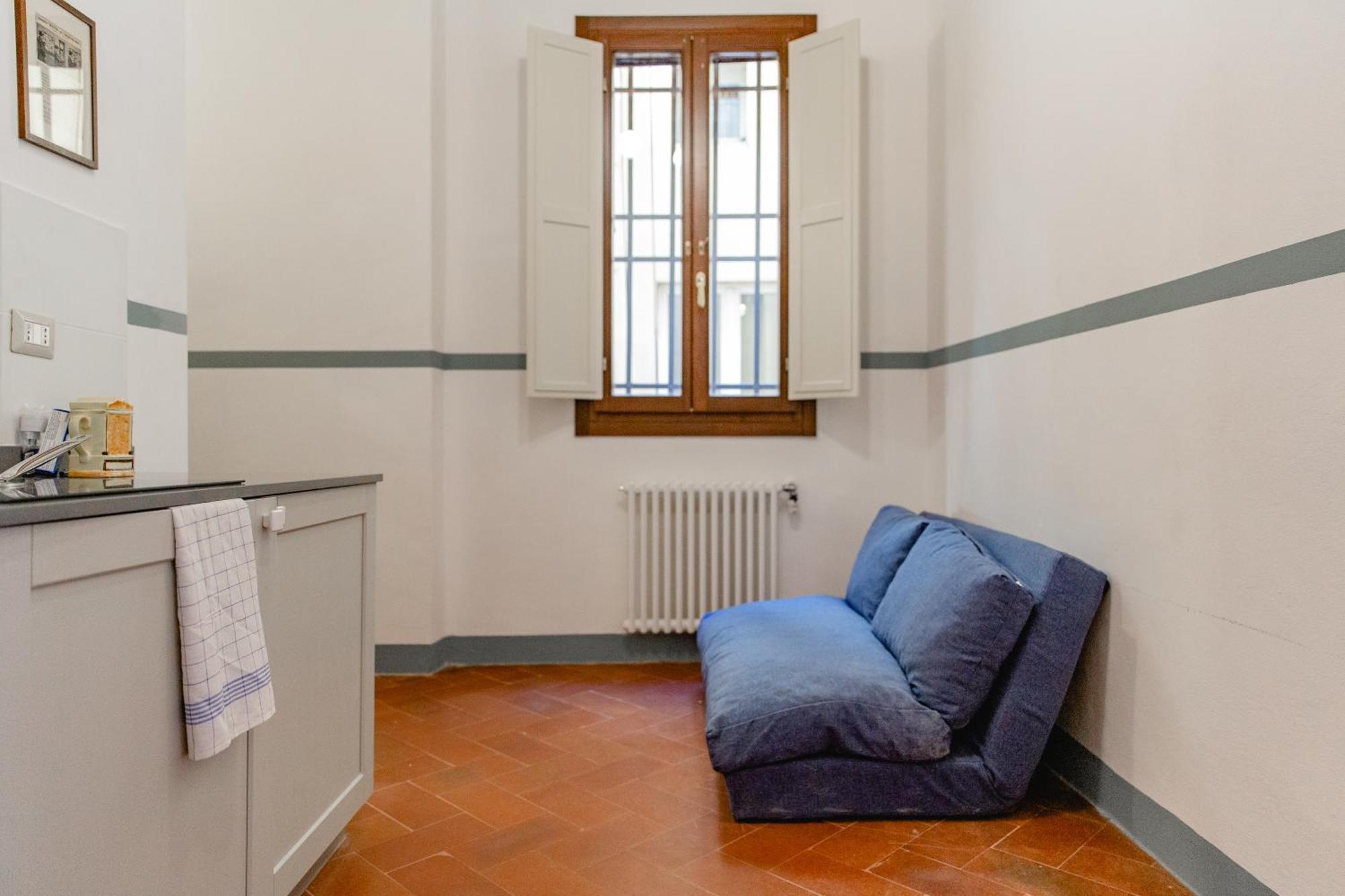 Big Apartment Near Piazza Santo Spirito ฟลอเรนซ์ ภายนอก รูปภาพ